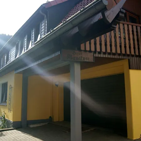 Haus Brückner Habitación en casa particular Wildemann